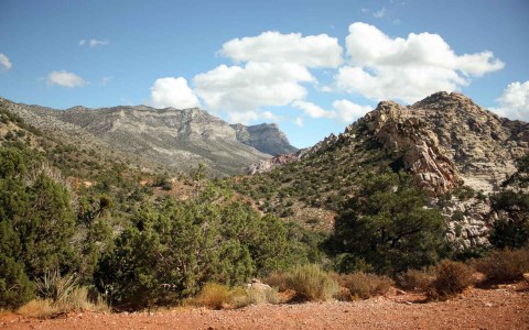 HEC-OutdoorAttractions-SAGUARO NATIONAL PARK EAST-9-58f7cb2e60378.jpg